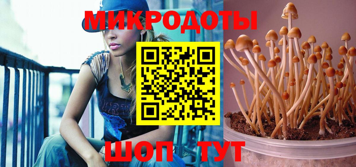 Псилоцибиновые грибы GOLDEN TEACHER  Вход с VPN  Щёкино 