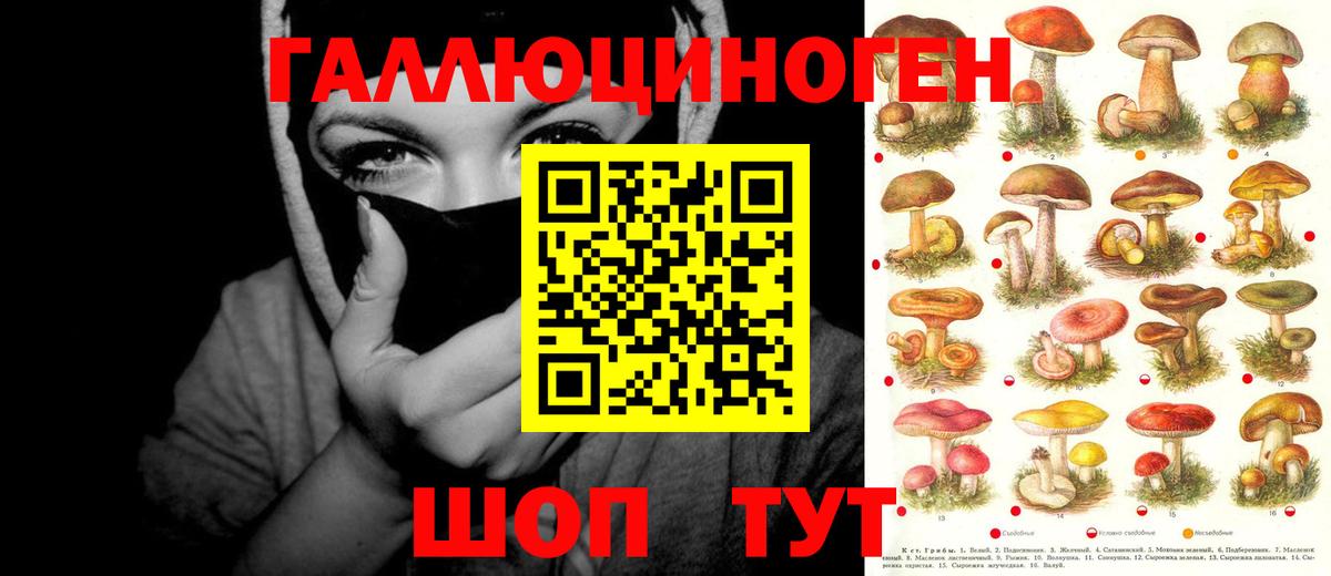 Псилоцибиновые грибы MAGIC MUSHROOMS Щёкино